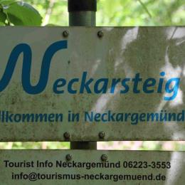 MT_2019_Wanderung_Neckarsteig